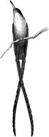 ABO50055.TIF