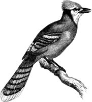 ABO50004.TIF