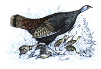 ABN50043.JPG