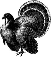 ABN50005.TIF