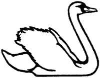 ABK50013.TIF