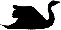 ABK50010.TIF