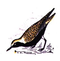 ABJ50197.JPG