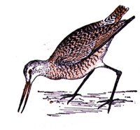 ABJ50193.JPG