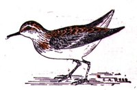 ABJ50192.JPG