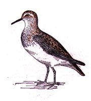ABJ50190.JPG