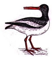 ABJ50181.JPG