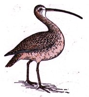 ABJ50178.JPG