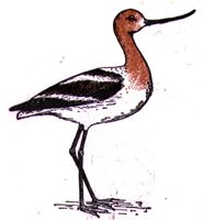 ABJ50177.JPG
