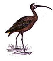 ABJ50170.JPG