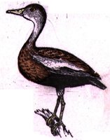 ABJ50167.JPG