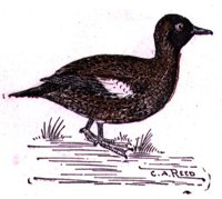 ABJ50165.JPG