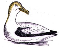 ABJ50162.JPG