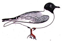 ABJ50159.JPG