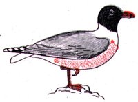 ABJ50158.JPG