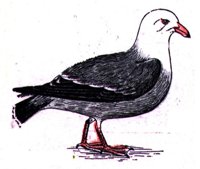 ABJ50156.JPG