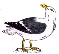 ABJ50155.JPG
