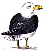 ABJ50154.JPG