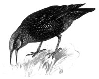 ABJ50153.JPG