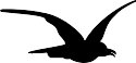 ABJ00004.WMF