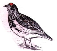 ABH50098.JPG