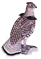 ABH50093.JPG