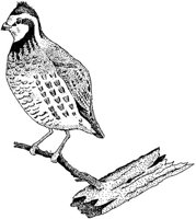 ABH50078.JPG