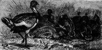 ABH50040.JPG