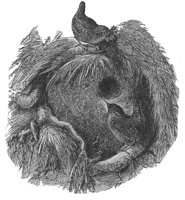ABH50033.JPG