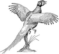 ABF50018.JPG