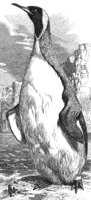 ABE50026.JPG