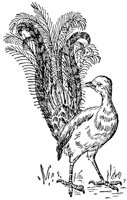 ABD50034.JPG