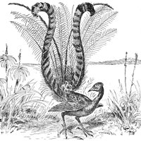 ABD50033.JPG