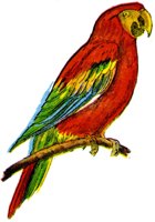 ABC50108.JPG