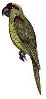 ABC50106.JPG