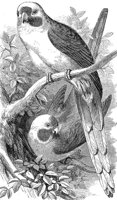 ABC50089.JPG