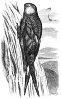 ABC50087.JPG