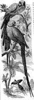 ABC50086.JPG