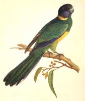 ABC50067.JPG