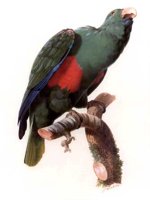 ABC50059.JPG