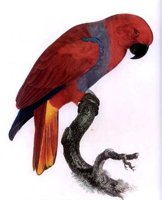 ABC50058.JPG