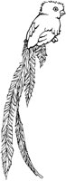 ABC50008.TIF