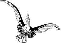ABC50005.TIF