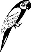 ABC00016.WMF
