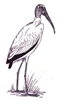 AAY50106.JPG