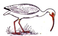 AAY50105.JPG