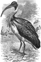 AAY50070.JPG
