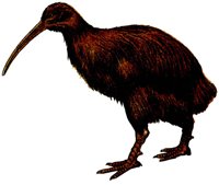 AAY50057.JPG