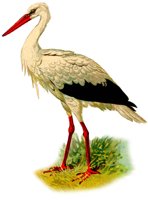 AAY50056.JPG