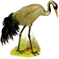 AAY50055.JPG